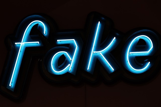 Neonschriftzug "fake"