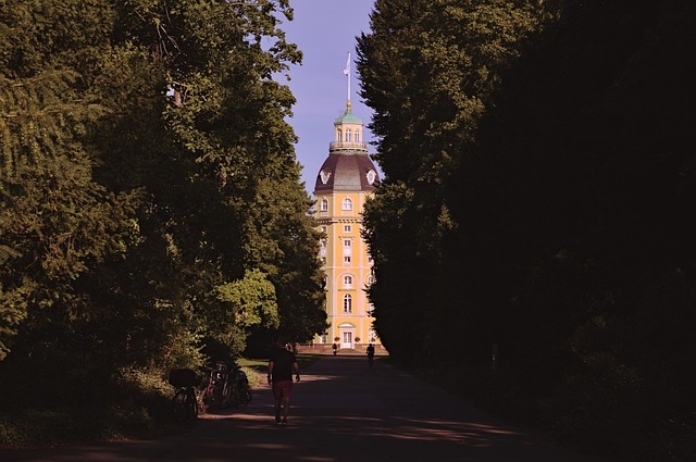 Karlsruher Schloss mit Bäumen