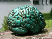 picture of a green brain