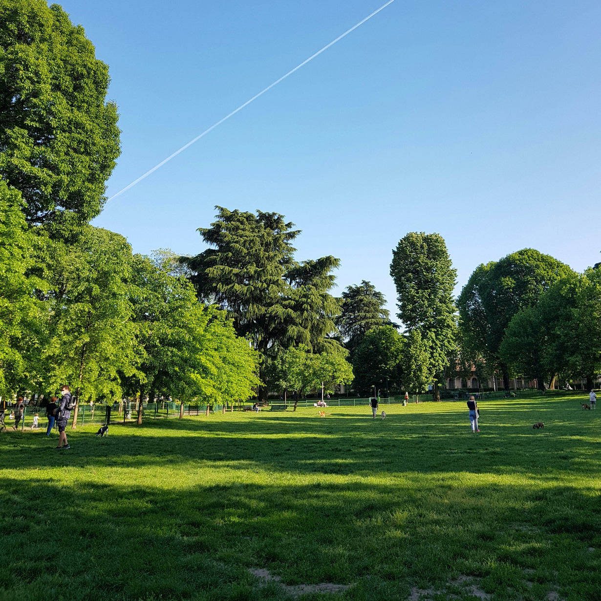 Stadtbaum URBORETUM